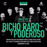 Cultura: Carlos Rodriguez presenta: 'BICHO RARO Y PODEROSO' 9-12