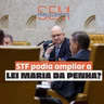 O STF podia ampliar a Lei Maria da Penha?