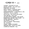 Cara B - 195