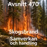 470. Skogsbrand, samverkan- och handlingsprincipen