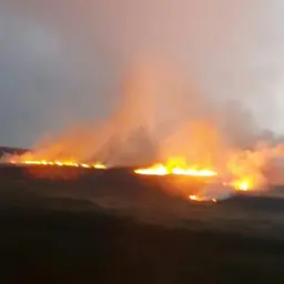 Glencullen wildfire - what has been the impact?