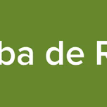 Prueba de Radio