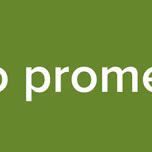 Stereo promesa fm