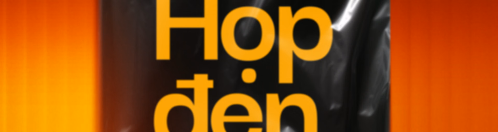 VnExpress Podcasts: Hộp đen