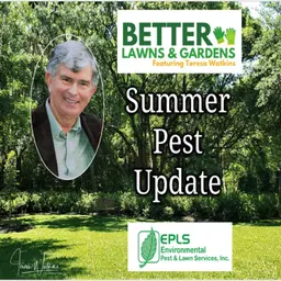 S2 Ep467: Better Lawns and Gardens - Hour 2 Summer Pest Update August 2, 2026