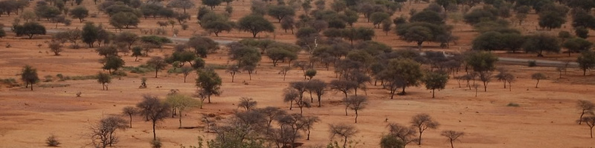 Radio du Sahel