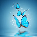 Persian Christian Radio