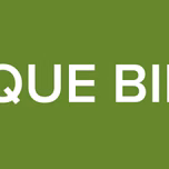 MAS QUE BINGOS