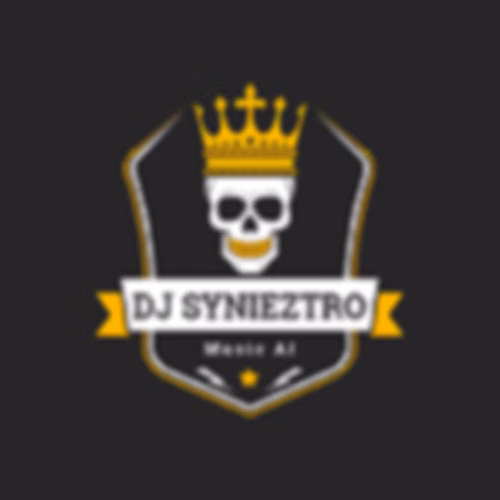 Remixes by DJ Synieztro
