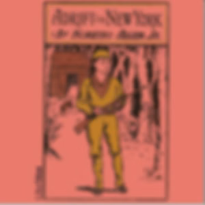 Adrift in New York by Horatio Alger, Jr. (1832 - 1899)