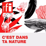C'est dans ta nature