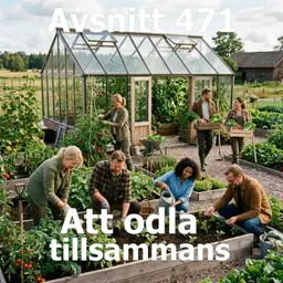 471. Att odla tillsammans