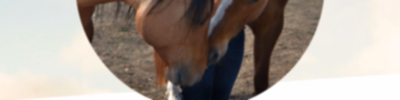 Healing Horses with Elisha