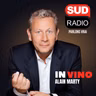 In Vino - Le vin, entre tradition et modernité