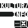 Wühlen in der Scherbenkiste: 50 Jahre Punk in Basel