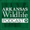 Arkansas Wildlife Podcast Ep.96: From Drain to Gain - The Lake Monticello Story