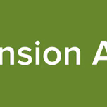 Dimension Anime
