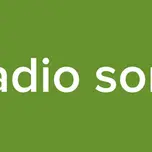 Radio sonil