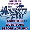 The Most Important Questions To Ask Before Choosing An Aquarium Fish