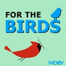 For The Birds - 08/01/2026