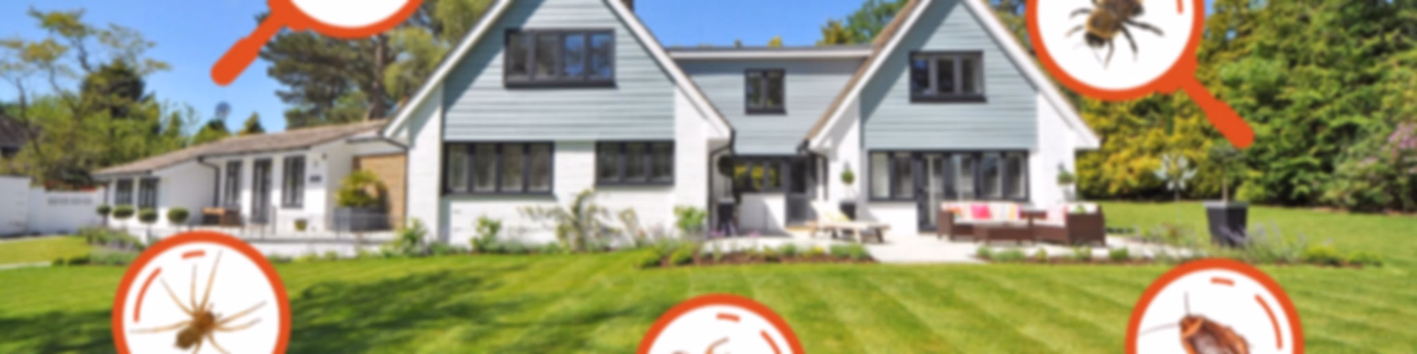 Pest Control Services in Lakewood, CA