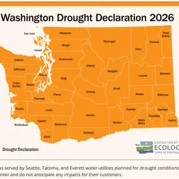 Drought or Déjà Vu? What the Dungeness River Data Actually Show