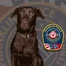Episode 16- The Police K-9