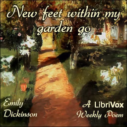 New feet within my garden go