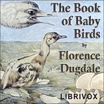 Book of Baby Birds, The by Florence Dugdale (1879 - 1937)