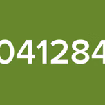 041284
