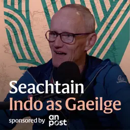 Wexford: Cén saghas Gaeilge a labhraíodh i nGaeltacht Loch Garman?