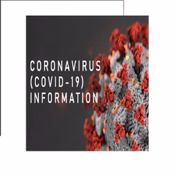 COVID 19