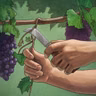 Does the Bible Teach 'Once Saved, Always Saved'?