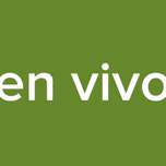 en vivo