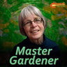 Planting Vegetables After Spring