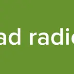 fidelidad radio pinto