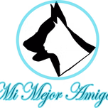 Primer programa de radio online