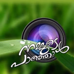 Nammudepanjal