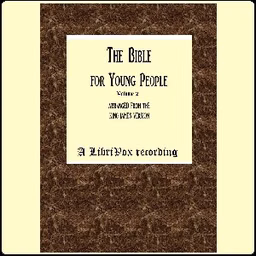 Bible For Young People Vol. 2