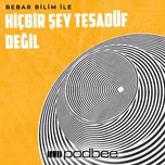 Hiçbir Şey Tesadüf Değil