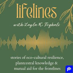 Lifelines