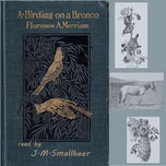 A-Birding on a Bronco by Florence A. Merriam Bailey (1863 - 1948)