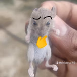 Mamahuevo digo glugluglu