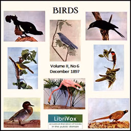 Birds, Vol. II, No 6, December 1897 by Various