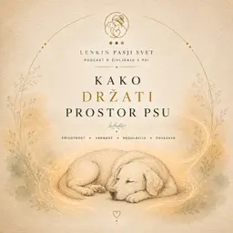 Kako DRŽATI PROSTOR psu?