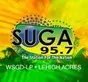 SUGA 95.7 FM Radio Station - WSGD-LP