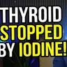 Why Your Thyroid Stops Working When You Get Too Much Iodine