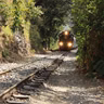 Varginha tem evento online sobre papel das ferrovias no desenvolvimento regional
