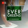 De Lëtzebuerger Entreprenariat méi fërderen