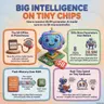 Big Intelligence on Tiny Chips